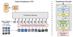 An Image is Worth 16x16 Words: Transformers for Image Recognition at Scale